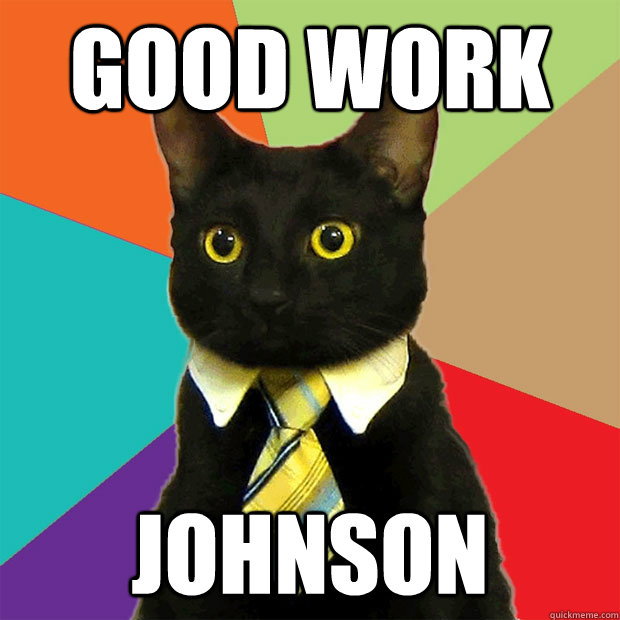 Good work johnson  Business Cat