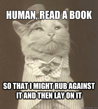 Human, read a book So that i might rub against it and then lay on it  Aristocat