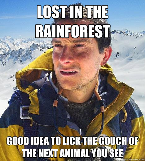 lost in the rainforest good idea to lick the gouch of the next animal you see  - lost in the rainforest good idea to lick the gouch of the next animal you see   Bear Grylls