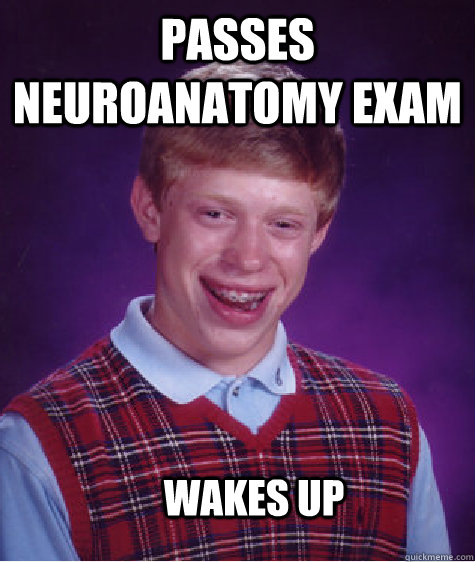 Passes neuroanatomy exam wakes up - Passes neuroanatomy exam wakes up  Bad Luck Brian