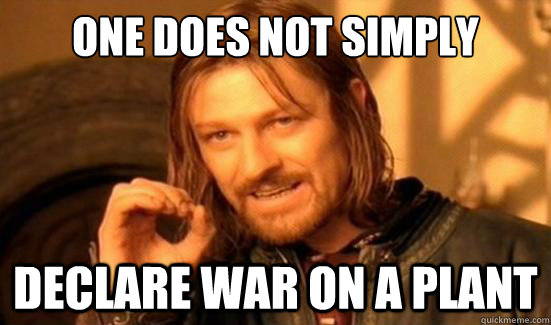 One Does Not Simply Declare war on a plant  Boromir