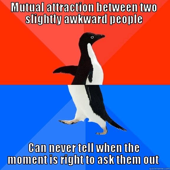 MUTUAL ATTRACTION BETWEEN TWO SLIGHTLY AWKWARD PEOPLE CAN NEVER TELL WHEN THE MOMENT IS RIGHT TO ASK THEM OUT  Socially Awesome Awkward Penguin