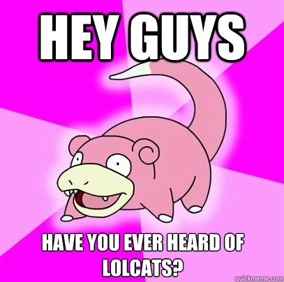 Hey guys Have you ever heard of LOLcats?  Slowpoke