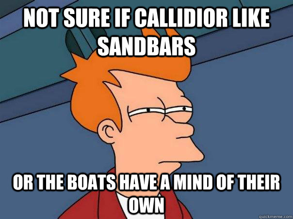 Not sure if Callidior like sandbars or the boats have a mind of their own  Futurama Fry