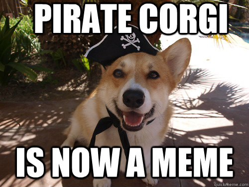 pirate Corgi is now a meme  Pirate Corgi