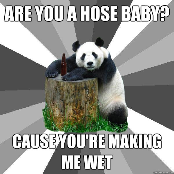 are you a hose baby? cause you're making me wet  Pickup-Line Panda