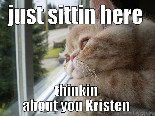 contemplative cat - JUST SITTIN HERE THINKIN ABOUT YOU KRISTEN Misc