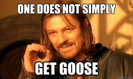 One Does Not Simply get goose  Boromir