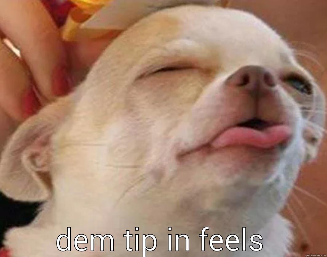  DEM TIP IN FEELS Misc