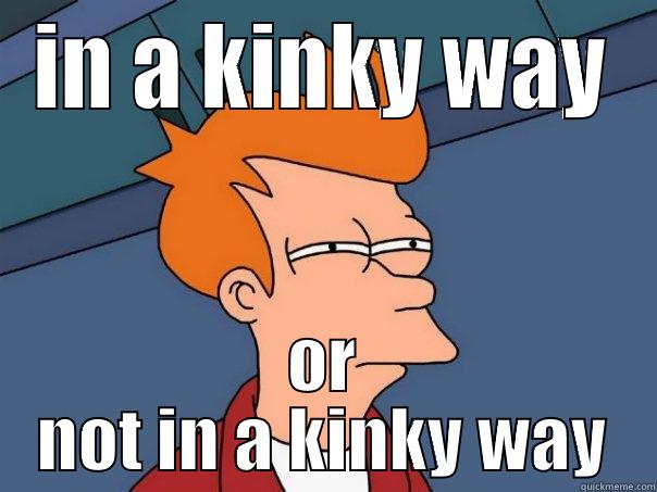 IN A KINKY WAY OR NOT IN A KINKY WAY Futurama Fry