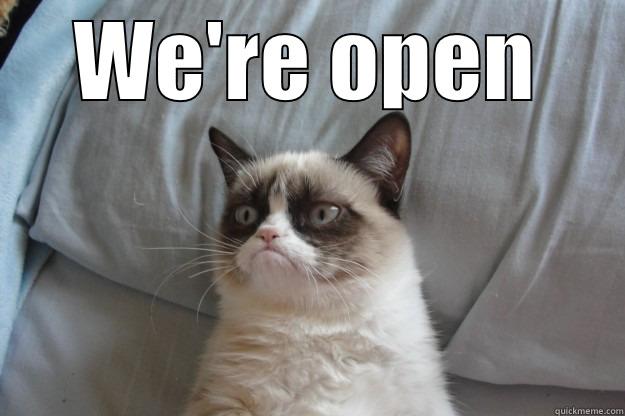 catchy title - WE'RE OPEN  Grumpy Cat