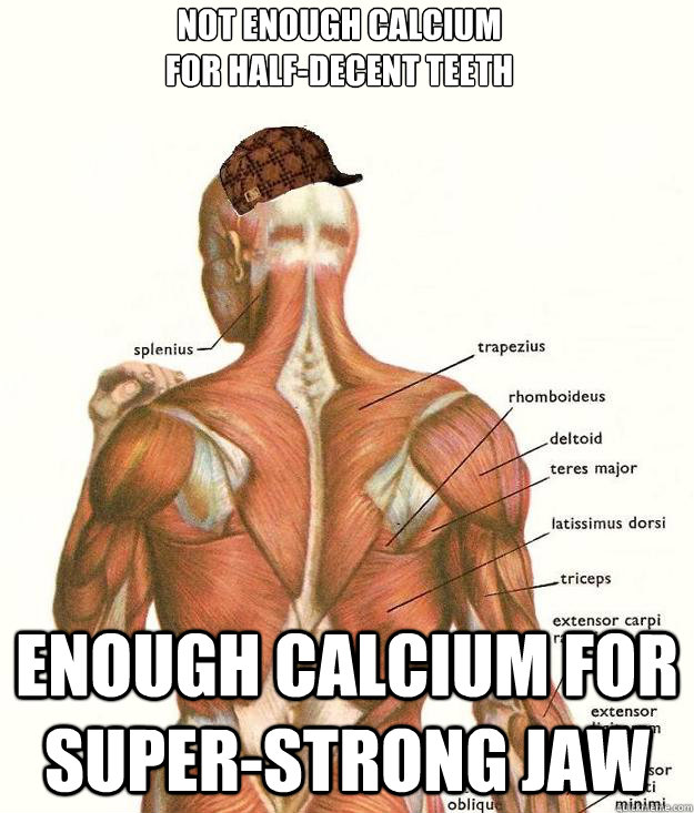 not enough calcium
for half-decent teeth enough calcium for super-strong jaw  Scumbag body