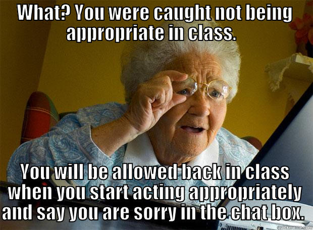 Grandma says What? - WHAT? YOU WERE CAUGHT NOT BEING APPROPRIATE IN CLASS.   YOU WILL BE ALLOWED BACK IN CLASS WHEN YOU START ACTING APPROPRIATELY AND SAY YOU ARE SORRY IN THE CHAT BOX.  Grandma finds the Internet