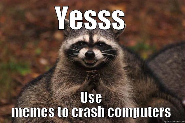 YESSS USE MEMES TO CRASH COMPUTERS Evil Plotting Raccoon