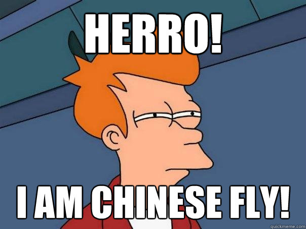 Herro! I AM CHINESE FLY!  Futurama Fry