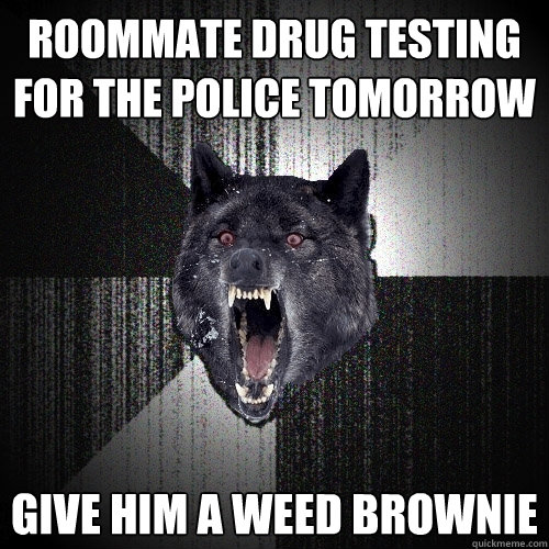 roommate drug testing for the police tomorrow give him a weed brownie  Insanity Wolf