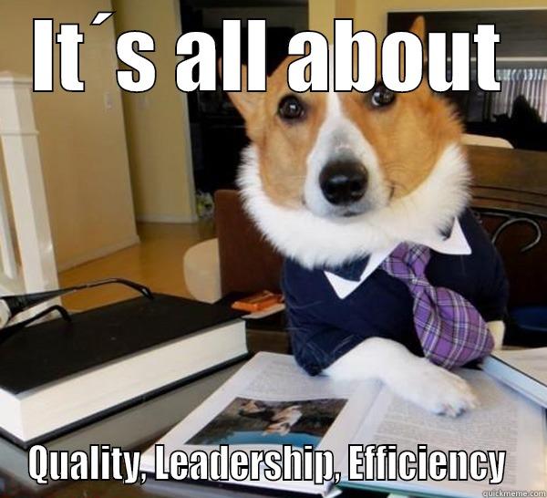 IT´S ALL ABOUT QUALITY, LEADERSHIP, EFFICIENCY  Lawyer Dog