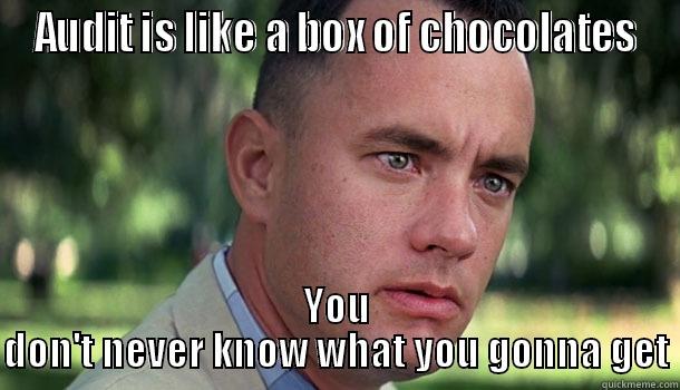 AUDIT IS LIKE A BOX OF CHOCOLATES YOU DON'T NEVER KNOW WHAT YOU GONNA GET Offensive Forrest Gump