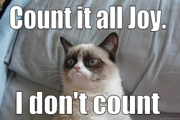 COUNT IT ALL JOY. I DON'T COUNT Grumpy Cat