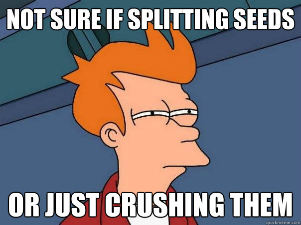 not sure if splitting seeds or just crushing them  Futurama Fry