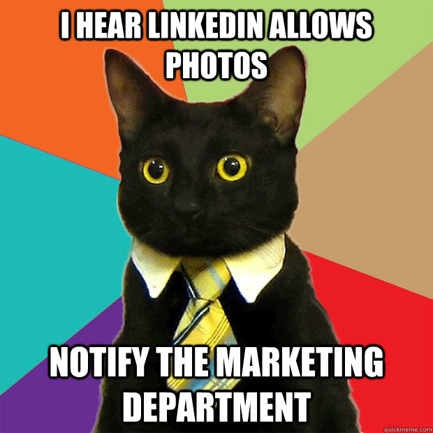 i hear linkedin allows photos notify the marketing department  Business Cat