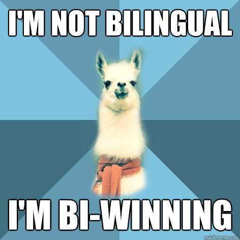 i'm not bilingual i'm bi-winning  Linguist Llama