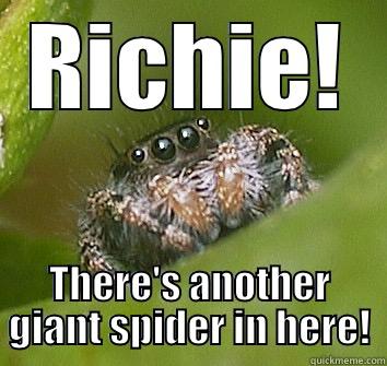 RICHIE! THERE'S ANOTHER GIANT SPIDER IN HERE! Misunderstood Spider