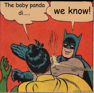 The baby panda di..... we know!  Slappin Batman