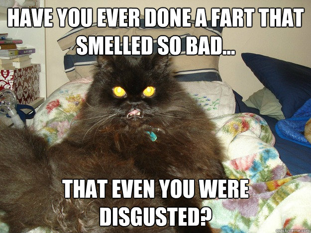Have you ever done a fart that smelled so bad... That even you were disgusted? - Have you ever done a fart that smelled so bad... That even you were disgusted?  Eww Cat