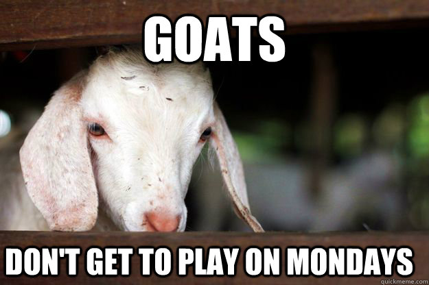 Goats don't get to play on mondays  Sad Goat