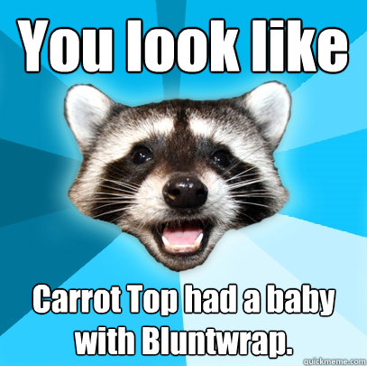 You look like Carrot Top had a baby with Bluntwrap.  - You look like Carrot Top had a baby with Bluntwrap.   Lame Pun Coon