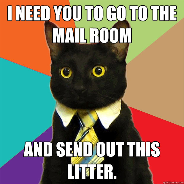 I NEED YOU TO GO TO THE MAIL ROOM And send out this litter. - I NEED YOU TO GO TO THE MAIL ROOM And send out this litter.  Business Cat