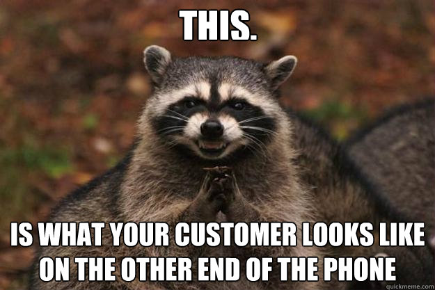 THIS. Is what your customer looks like on the other end of the phone  Evil Plotting Raccoon