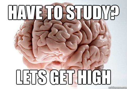 Have to study? Lets Get High  Scumbag Brain