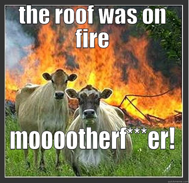 It was on fire - THE ROOF WAS ON FIRE MOOOOTHERF***ER! Evil cows