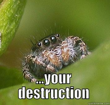  ...YOUR DESTRUCTION Misunderstood Spider