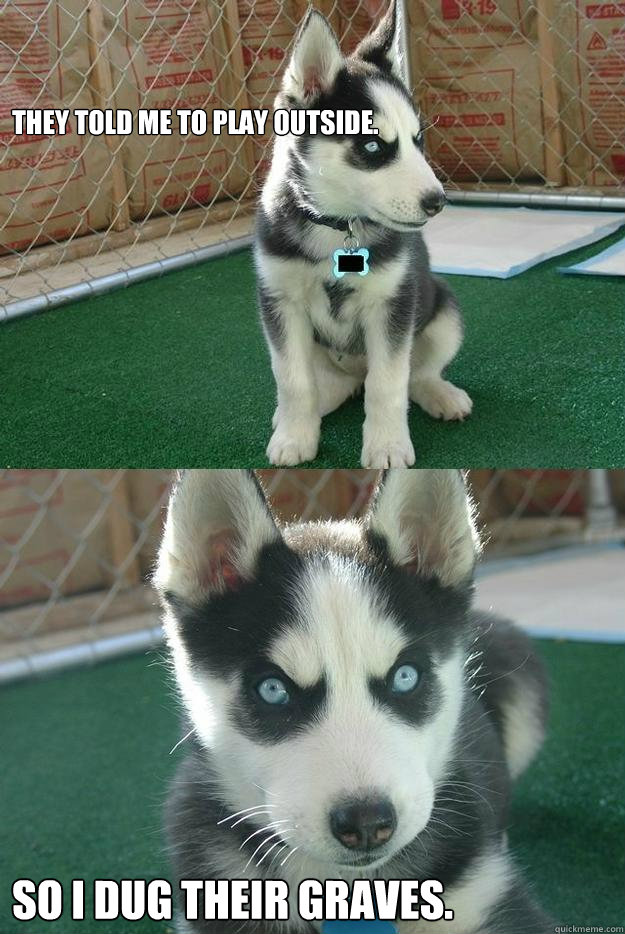 They told me to play outside. So I dug their graves.  Insanity puppy