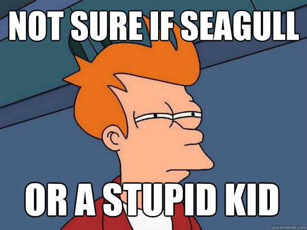 not sure if seagull or a stupid kid  Futurama Fry