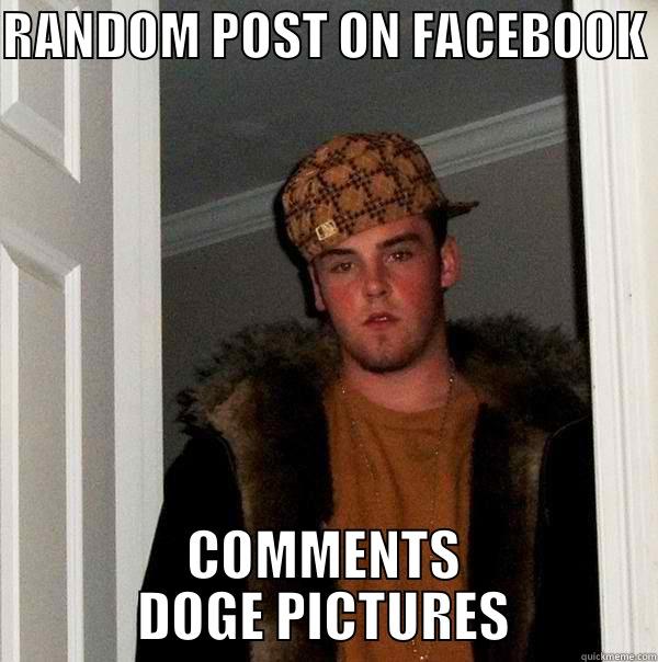 RANDOM POST ON FACEBOOK COMMENTS DOGE PICTURES Scumbag Steve