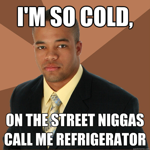 i'm so cold, on the street niggas call me refrigerator  Successful Black Man