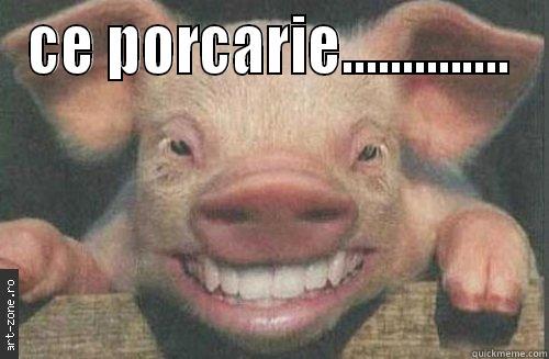 porcariea muhHHhHa - CE PORCARIE..............  Misc