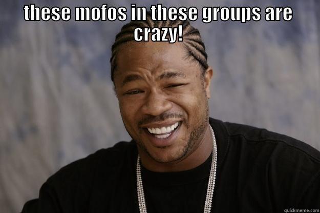 THESE MOFOS IN THESE GROUPS ARE CRAZY!  Xzibit meme