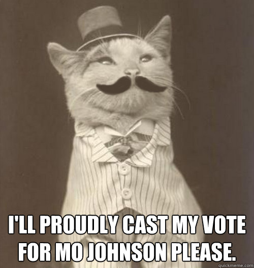  I'll proudly cast my vote for Mo Johnson please.   Original Business Cat