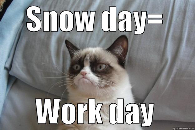 SNOW DAY= WORK DAY Grumpy Cat