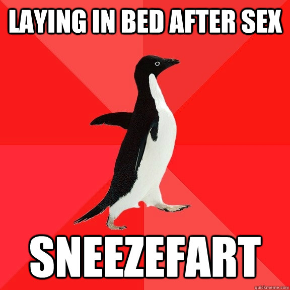 Laying in bed after sex Sneezefart  Socially Awesome Penguin