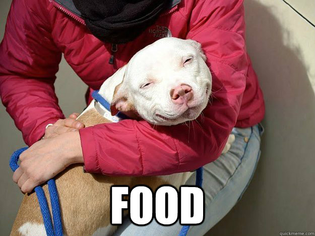  food -  food  10 Dog