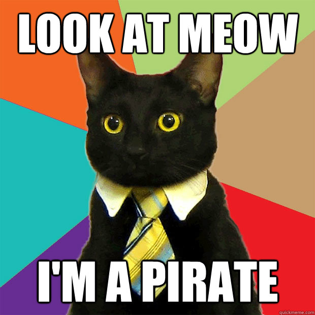 Look at meow I'm a pirate  Business Cat