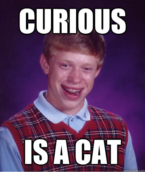 Curious is a cat  Bad Luck Brian