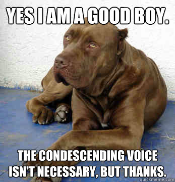 Yes I am a good boy. The condescending voice isn't necessary, but thanks.  Passive Aggressive Dog