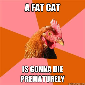 A fat cat is gonna die prematurely  Anti-Joke Chicken